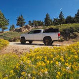 Elevate Suspension Chromoly Uniball UCA - 1014 - 05-23 Tacoma 2/4WD FREE SHIPPING